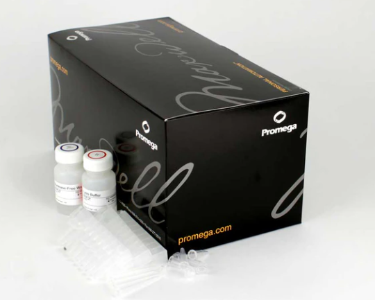 Kits d’Extraction Promega